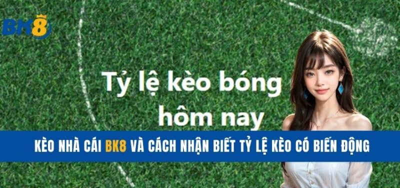 keo-nha-cai-bk8