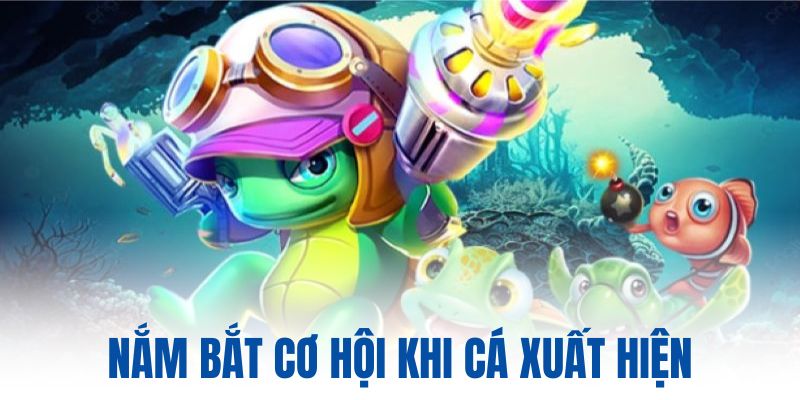 Nắm bắt cơ hội khi cá xuất hiện